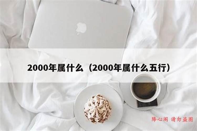 2000年属什么甲子年