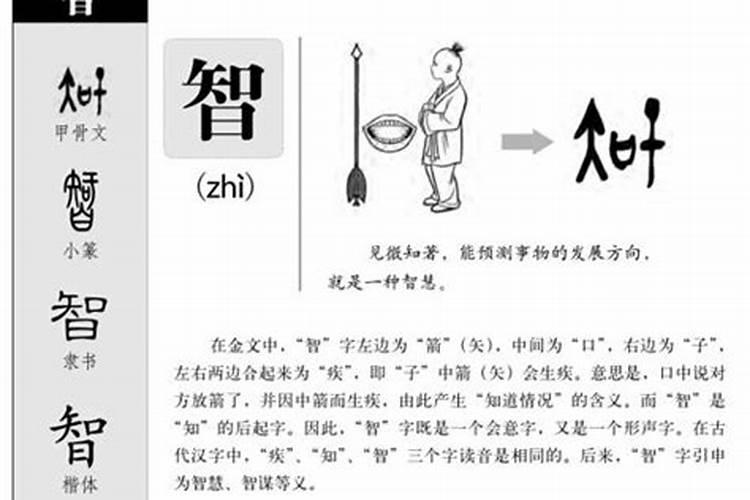 辉字属于五行属什么的