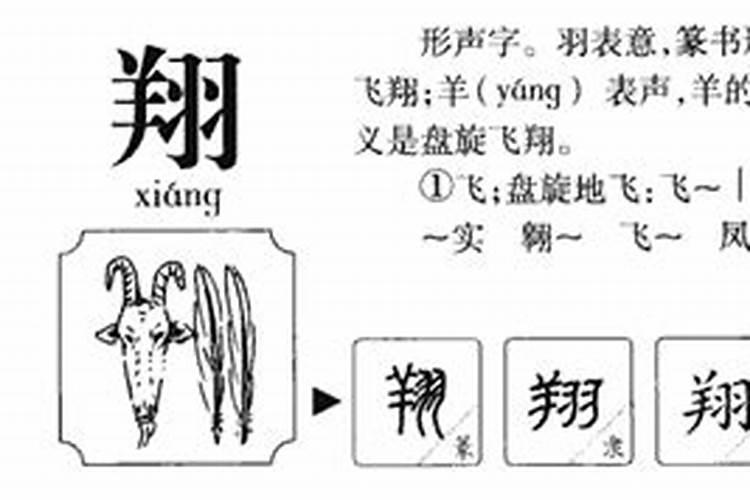 翔字的含义五行属什么