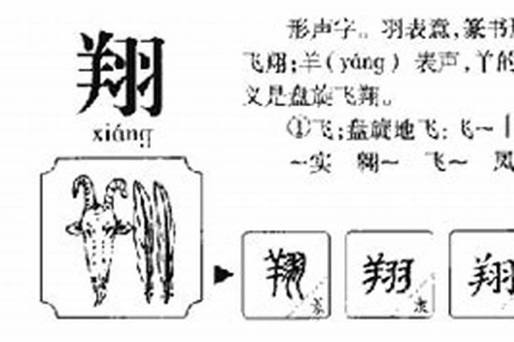 翔这个字属于五行属什么