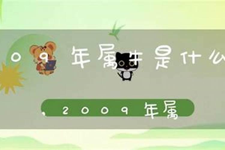 2009年属牛五行属什么缺什么