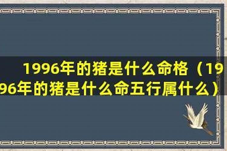 1996年属猪的是什么命五行