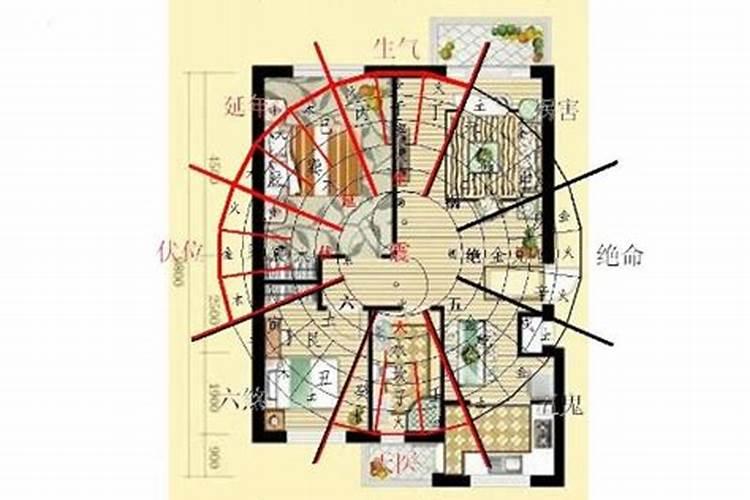 1970年2023年运势运程