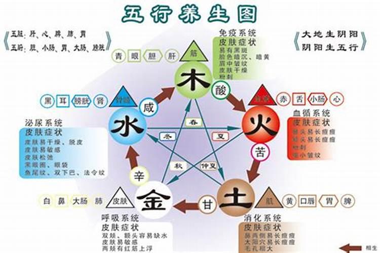 管理学五行属什么行业