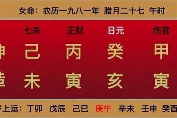 属蛇属猪2023年运势及运程