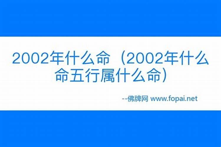 2002年属什么命运