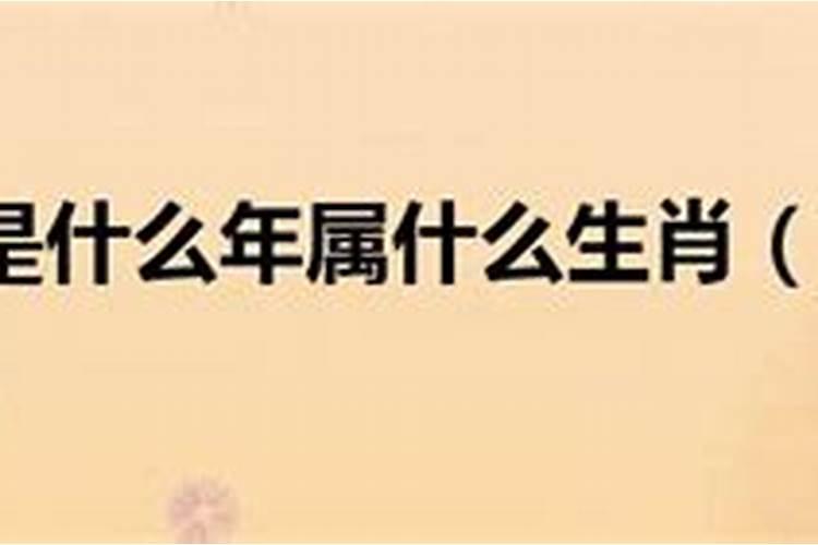 2019年属什么生肖几岁