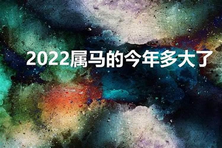 2022属马今年多少岁