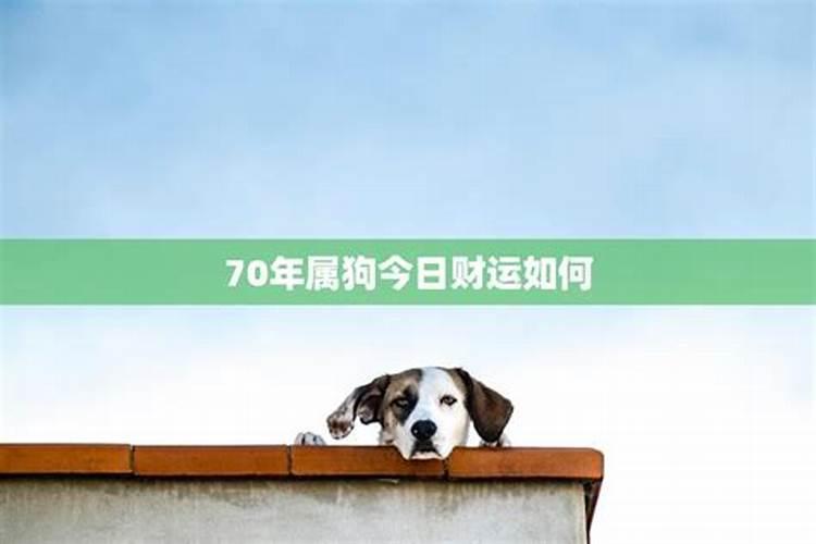 70年属狗52岁今日财运