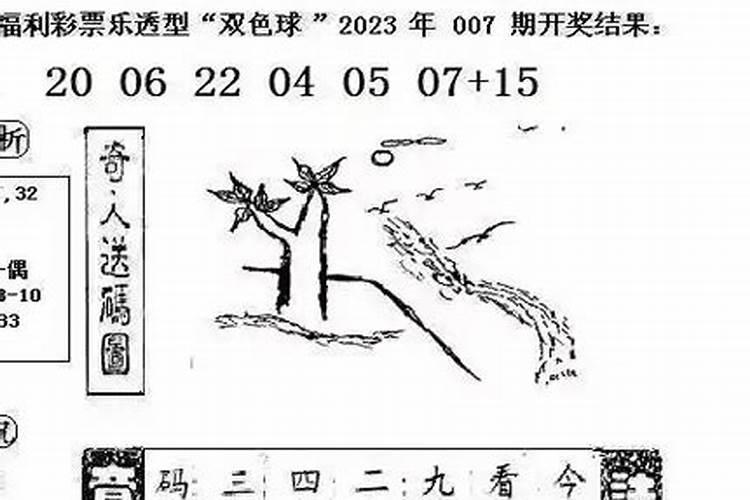 九字独取二来合,二八丁配五不满是什么生肖