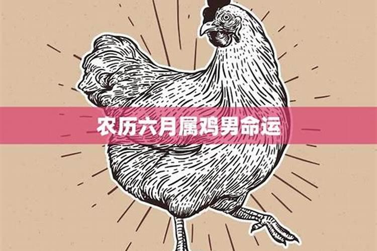 2017年属鸡闰六月好吗