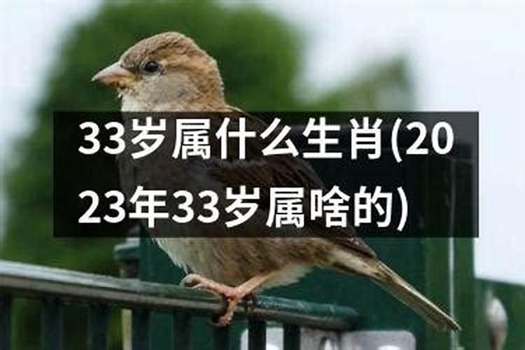 2023年33岁属什么生肖