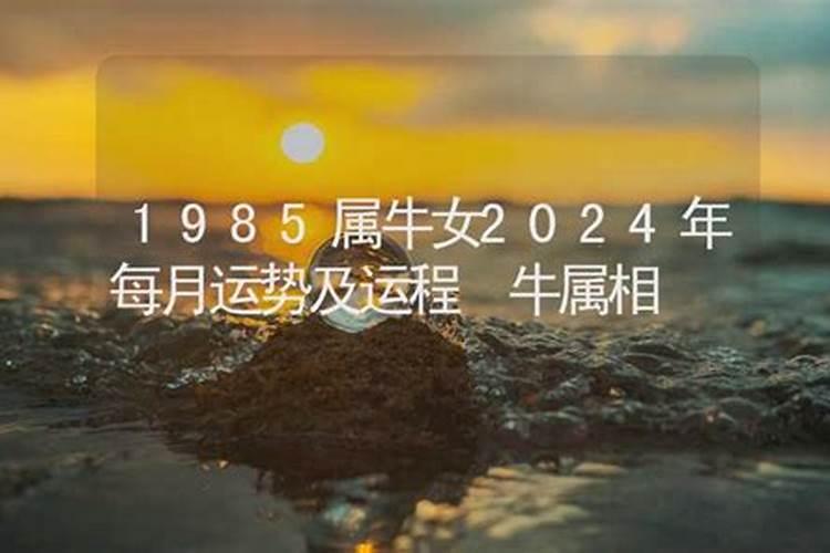 1985属牛的人2022年运势及运程女