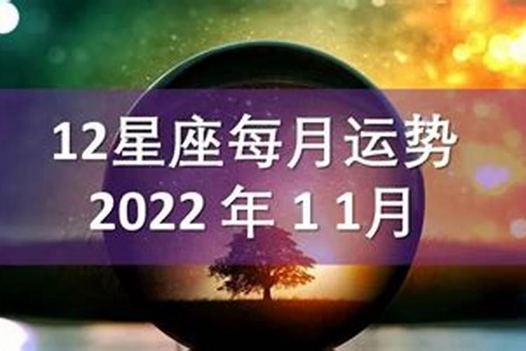 2020年11月十二星座运势