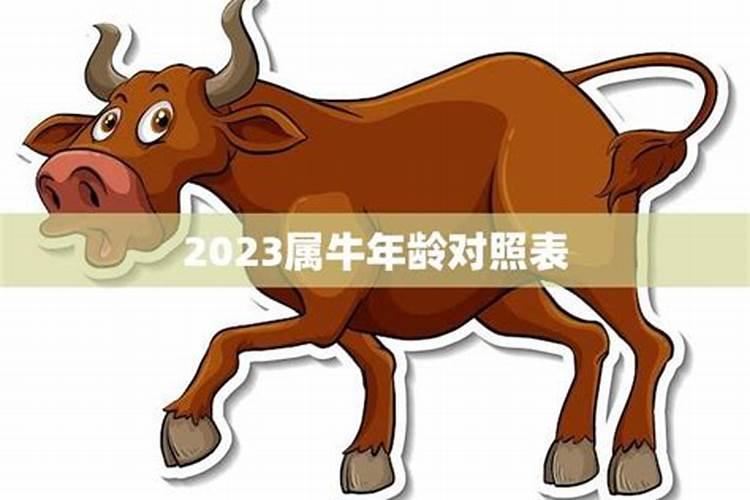 2021生肖牛的年龄表