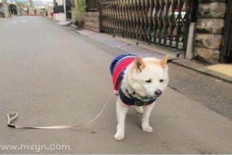 建新坟注意什么风水