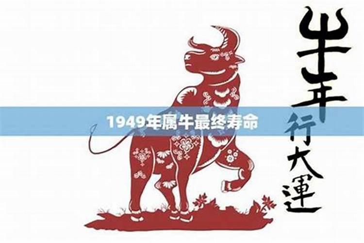 88年在2023年的运势如何