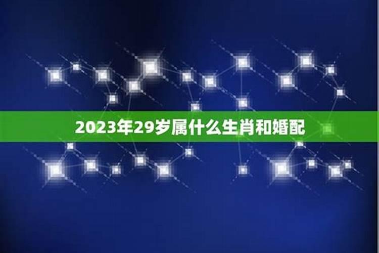 80年的猴在2023年的运势