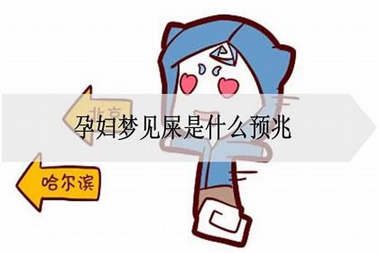 梦见屎是什么意思有什么预兆孕妇