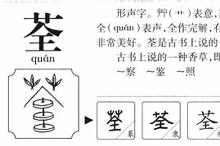 荃字五行属什么的