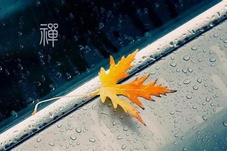 梦到下雨了急忙收被子