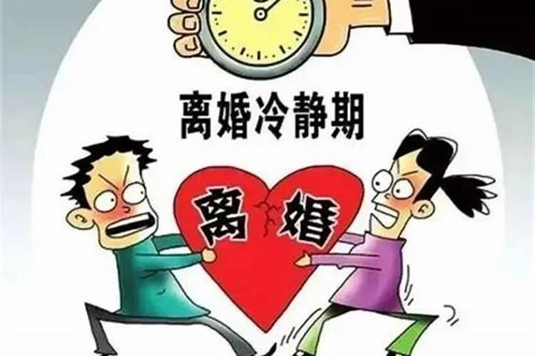 游生肖是什么