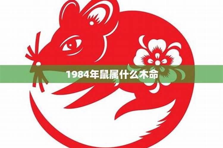 1984年五行属什么