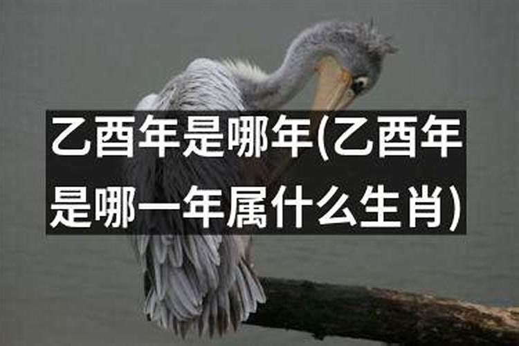 乙酉时是什么生肖