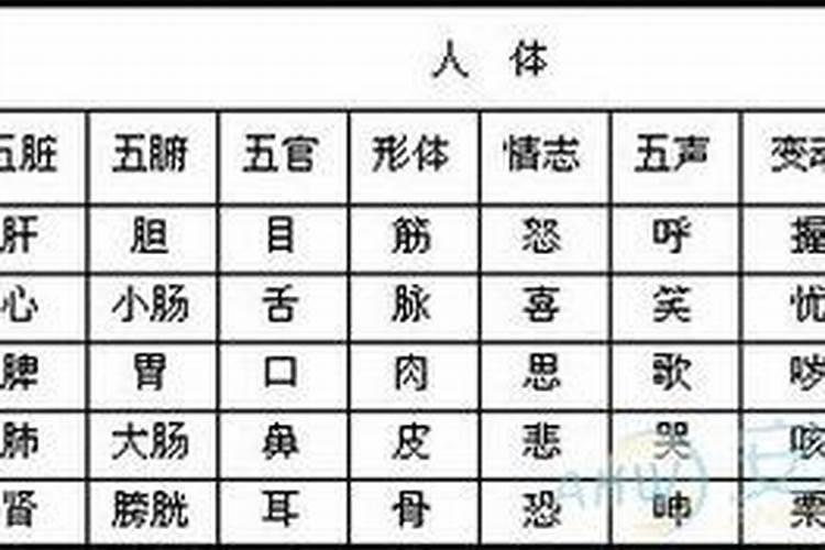 猫字五行属什么属性