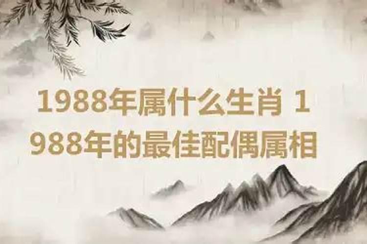 19年属什么生肖年