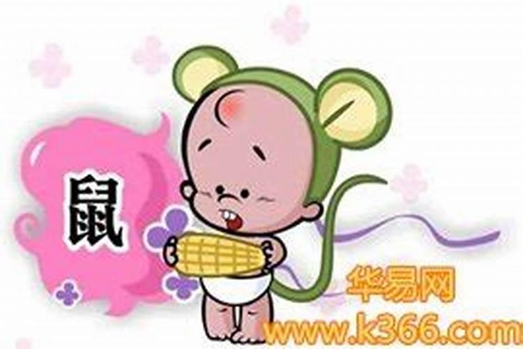 属鼠的今年结婚吉日