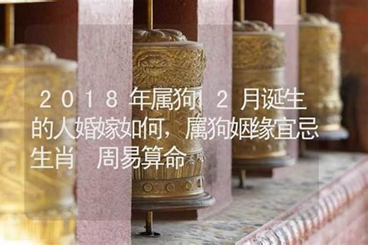 今年适合结婚的属相