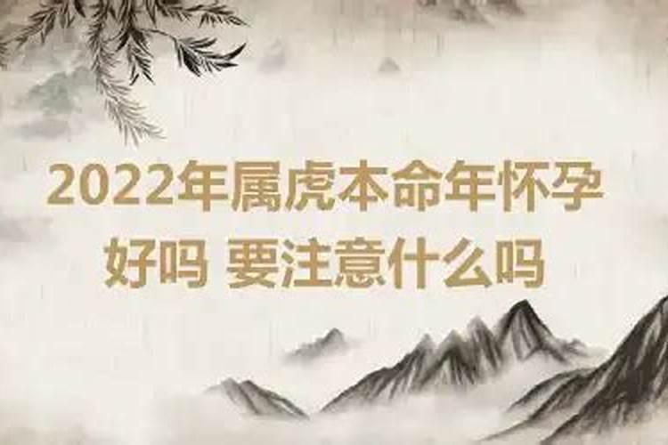 2022本命年怀孕好吗