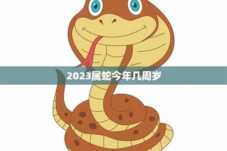 属蛇今年多少岁2023