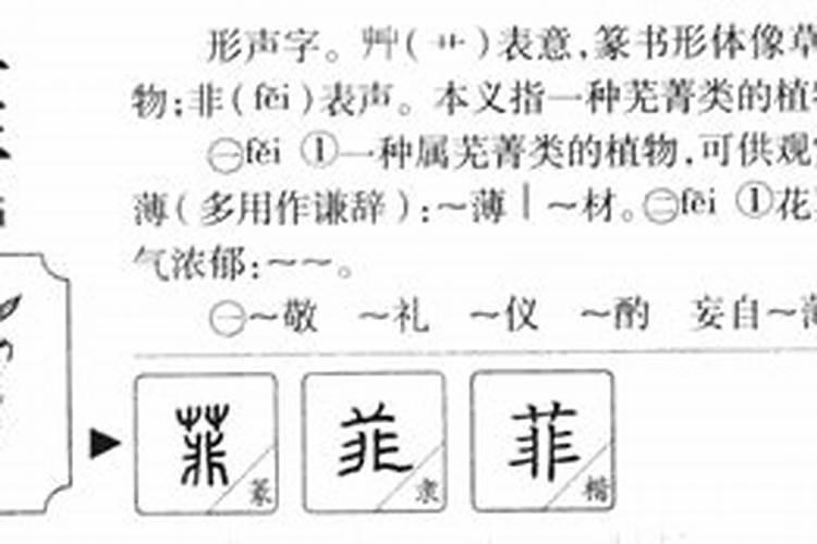 菲字的五行属性是什么意思