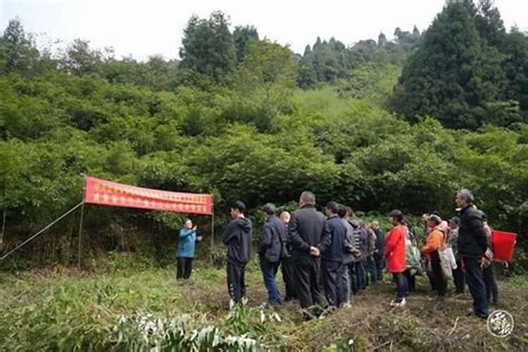 属虎和属狗女今年运势如何