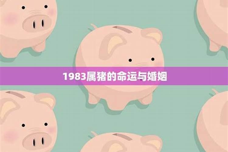 1983年9月出生的运势