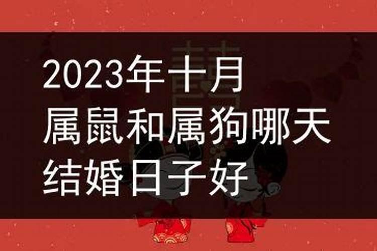 属狗2023年10月哪天结婚好