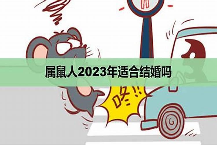 属鼠的人在2023年适合结婚吗