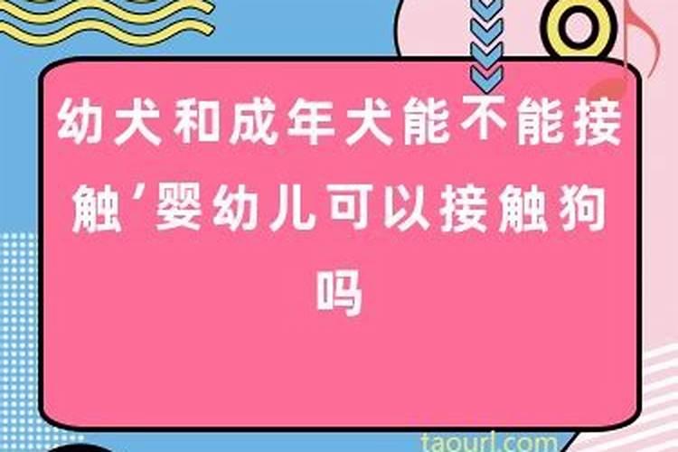 梦见自己生了个男婴抱在怀里