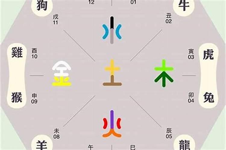 猪字五行属什么属性