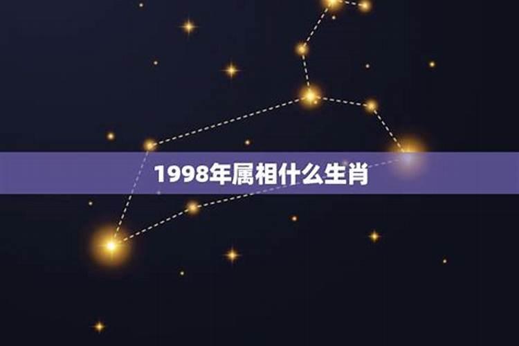 1998年属虎男是什么星座