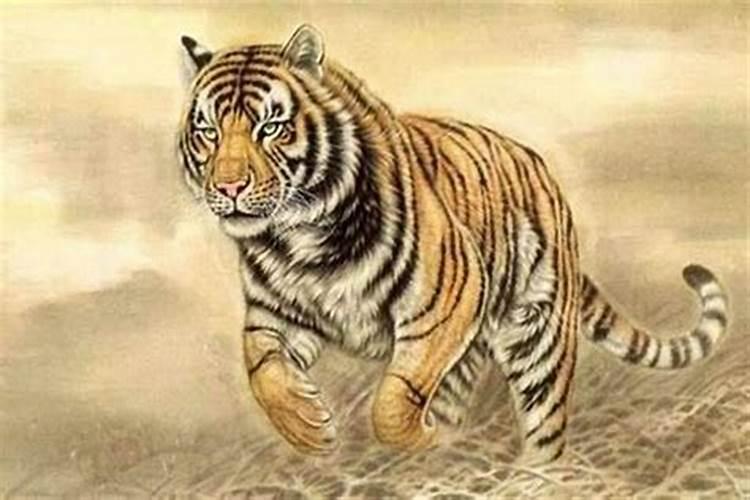 1998年出生属虎的是什么命