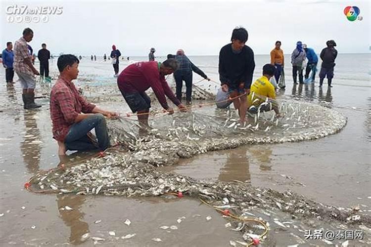 梦见很多人去赶海