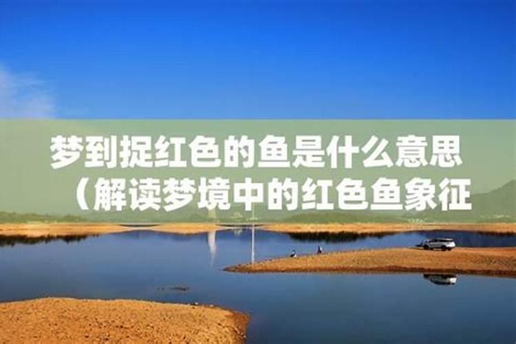 梦见捉鱼是什么意思周公解梦自己