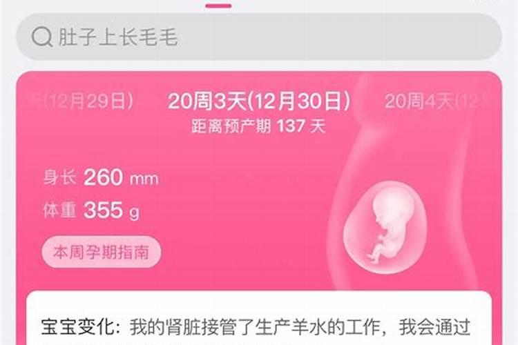 女人做梦梦到黑色的鸟