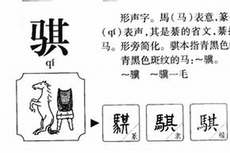 骐的意思五行属什么