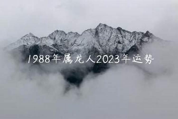 属龙人2023年运势运程