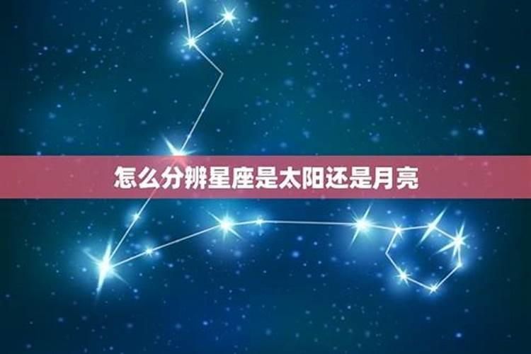 怎样看星座是太阳还是月亮