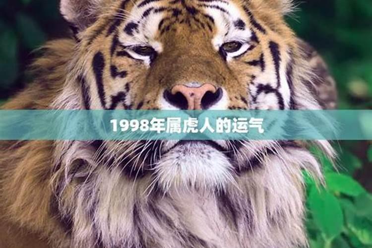 1984年属鼠2022年运势详解